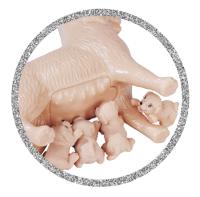 Panenka Steffi Welcome Puppies
